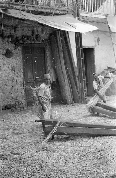 HAMPUN JALOSTUS, TYÖNTEKIJÄT "MACENNELE"-TEHTAALLA tekijältä Ando Gilardi