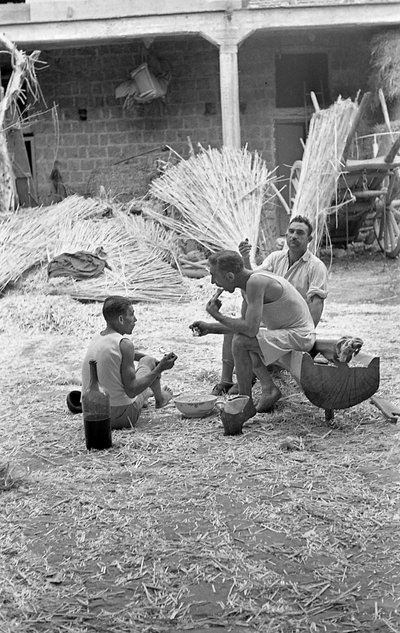 HAMPUN JALOSTUS, AAMIAINEN TÖISSÄ tekijältä Ando Gilardi