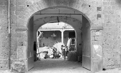 HAMPUN JALOSTUS, SUTLERS tekijältä Ando Gilardi