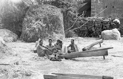 HAMPUN JALOSTUS, KIVIMUURAREIDEN LOUNASTAUKO tekijältä Ando Gilardi