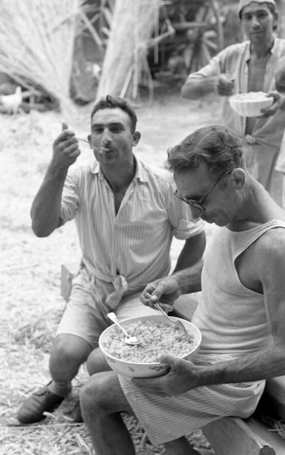 HAMPUN KÄSITTELY, ENERGIAN LATAAMINEN tekijältä Ando Gilardi