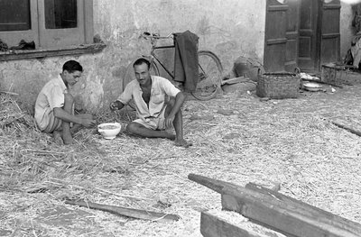 HAMPUN JALOSTUS, JAETTU KEITTO tekijältä Ando Gilardi