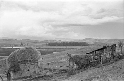 HÖKKELI JA LATO tekijältä Ando Gilardi