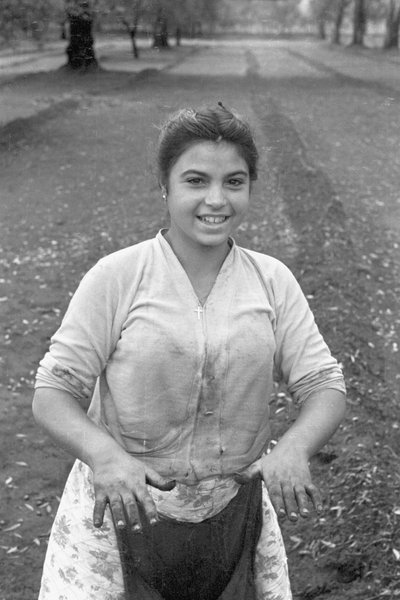 NUORI OLIIVINPOIMIJA tekijältä Ando Gilardi