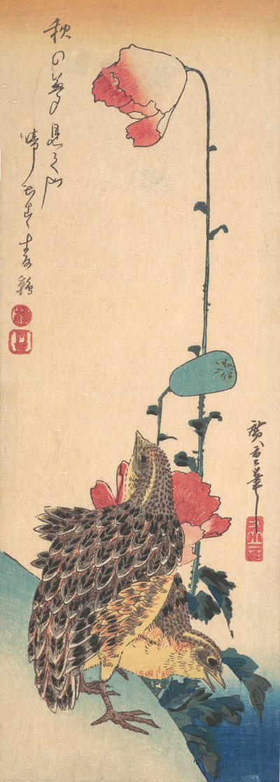 Pari viiriäisiä ja unikkoja, n. 1835, n. 1835. tekijältä Ando Hiroshige