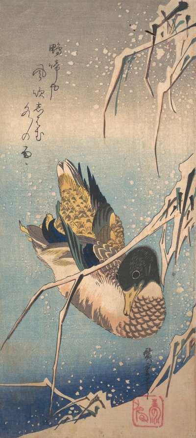 Villi ankka lähellä lumista rantaa, n. 1843, n. 1843. tekijältä Ando Hiroshige