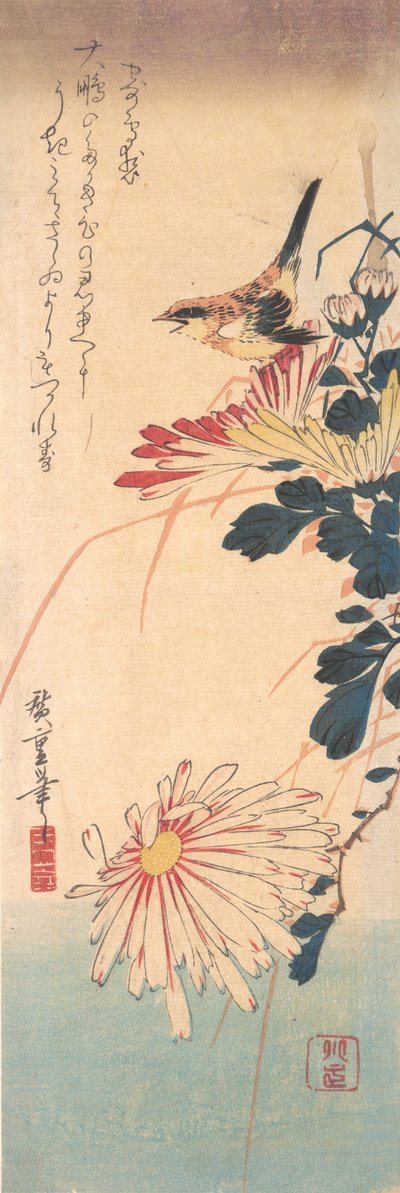 Wren ja krysanteemit, n. 1830, n. 1830. tekijältä Ando Hiroshige