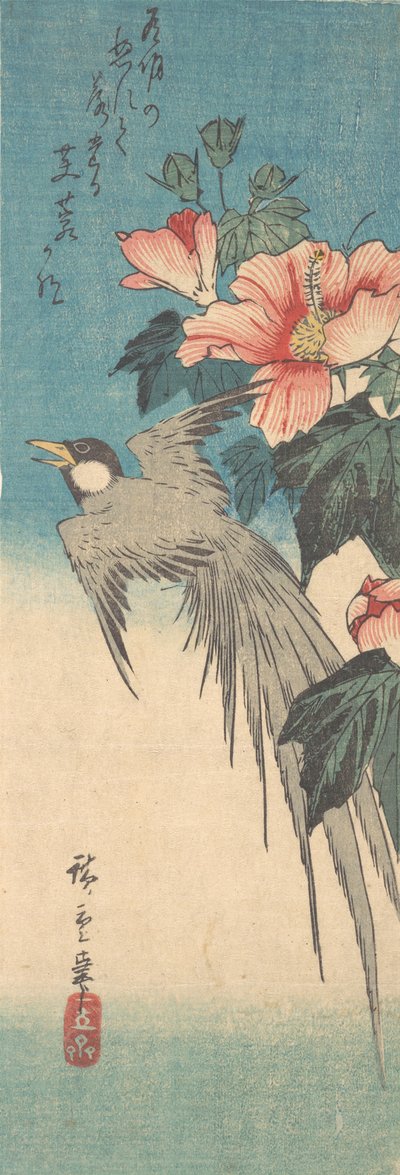 Hibiscus Mutabilis ja pitkähäntälintu, n. 1842, n. 1842. tekijältä Ando Hiroshige