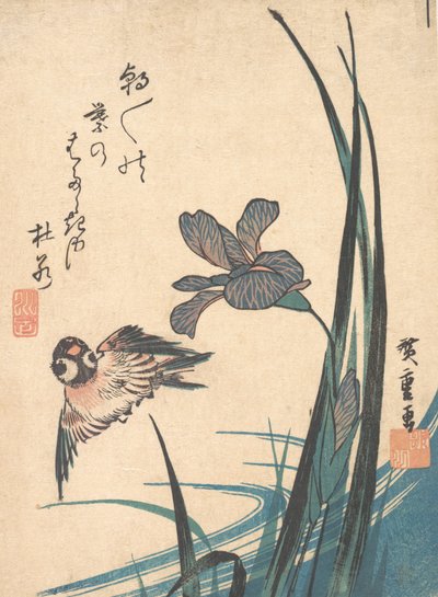 Iris ja Sparrow, n. 1832, n. 1832. tekijältä Ando Hiroshige