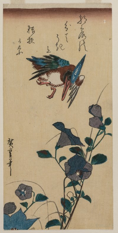 Kingfisher ja Chinese Bellflowers, 1830-luvun alussa tai puolivälissä. tekijältä Ando Hiroshige