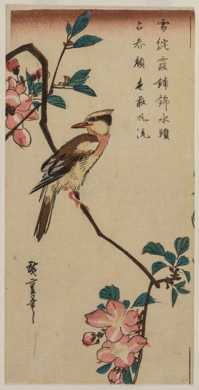 Korean Nightingale on Cherry Branch, 1830-luvun alussa tai puolivälissä. tekijältä Ando Hiroshige