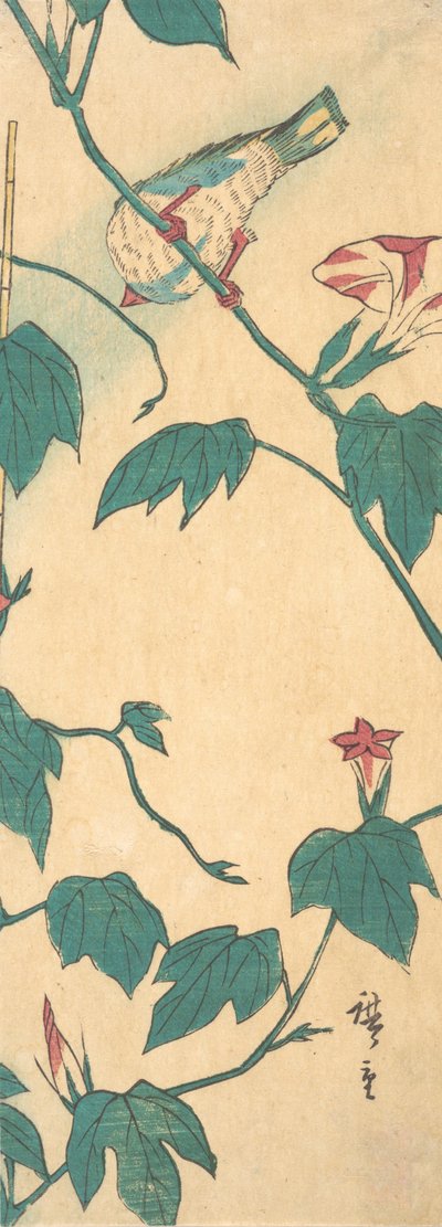 Morning Glories and Bird, 1840-50, 1840-50. tekijältä Ando Hiroshige