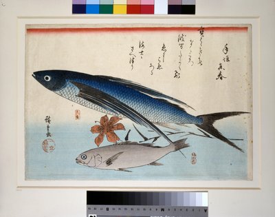Lentävät kalat, ishimochi kalat ja liljat tekijältä Ando or Utagawa Hiroshige