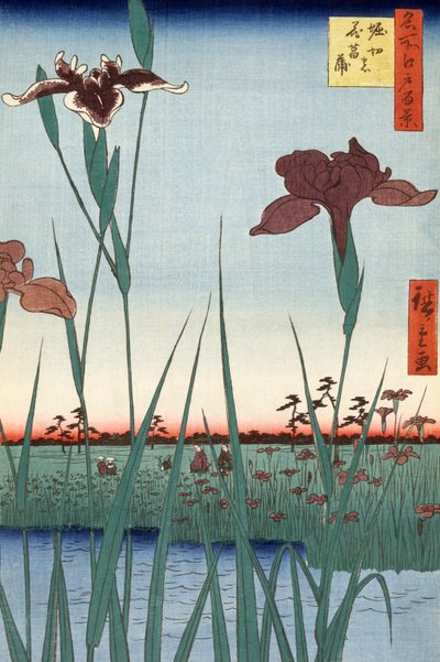 Utagawa Hiroshigen Horikiri Iris tekijältä Ando or Utagawa Hiroshige