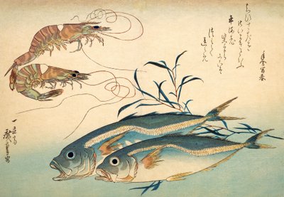 Japanilainen piikkimakrilli ja japanilainen tiikerikatkarapu (värillinen puupainatus) tekijältä Ando or Utagawa Hiroshige