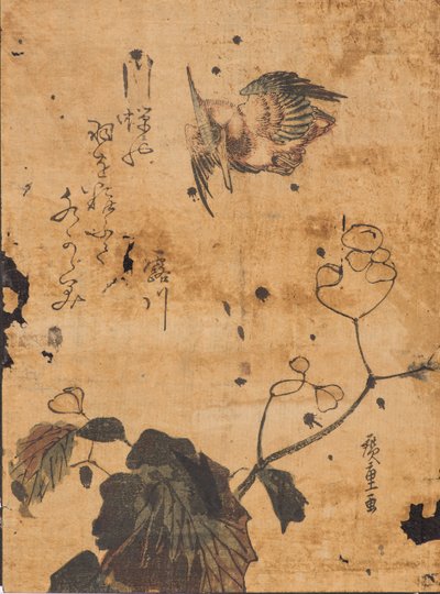 Lintujen ja kasvien tutkimus tekijältä Ando or Utagawa Hiroshige