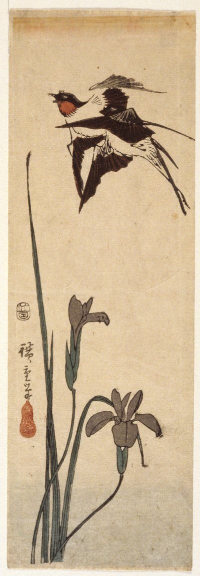 Pääskyset ja iiris (värillinen puupainatus) tekijältä Ando or Utagawa Hiroshige