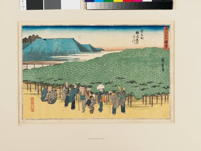 Naniwa-mänty Adachi-chōssa tekijältä Ando or Utagawa Hiroshige