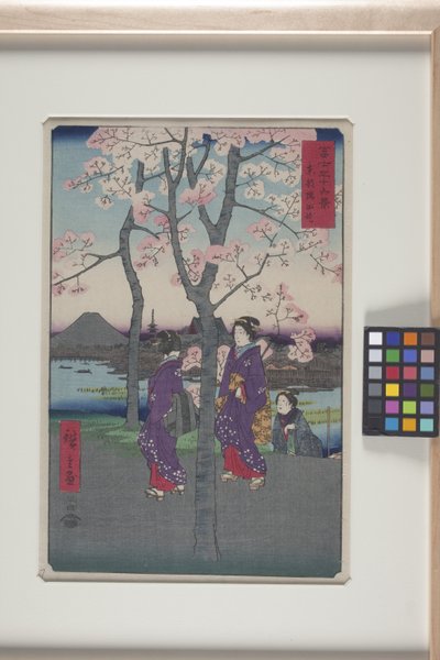 Sumida Embankment In the East Capital (T?to: Sumida Tei) (värillinen puupalikkaprintti) tekijältä Ando or Utagawa Hiroshige