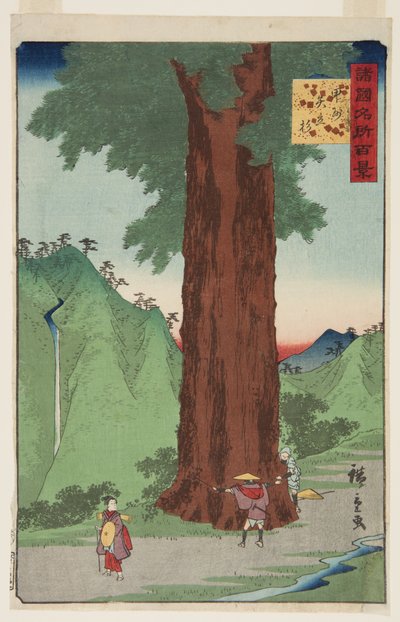 Yatate Cedar Tree Kain maakunnassa (K?sh? Yatate sugi) (värillinen puupalikkaprintti) tekijältä Ando or Utagawa Hiroshige