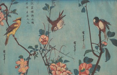Tiainen ja kameliat, varpunen ja villiruusut ja mustanaped oriole ja kirsikankukat, n. 1833 (puupainatus) tekijältä Ando or Utagawa Hiroshige