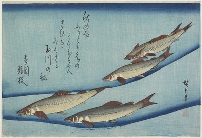 Taimen tekijältä Ando or Utagawa Hiroshige