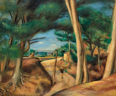 Les Lecquesin vilkas tie tekijältä Andre Derain