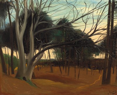 Les Lecquesin aluskasvillisuus tekijältä Andre Derain