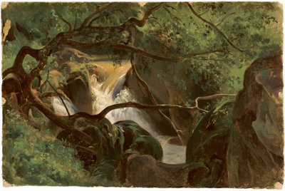 Metsäsisustus vesiputouksella, Papigno, 18251830. tekijältä André Giroux