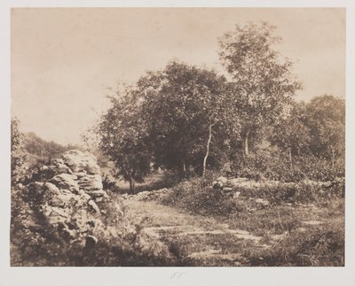 Nimetön kohtaus Fontainbleausta, n. 1853. tekijältä André Giroux
