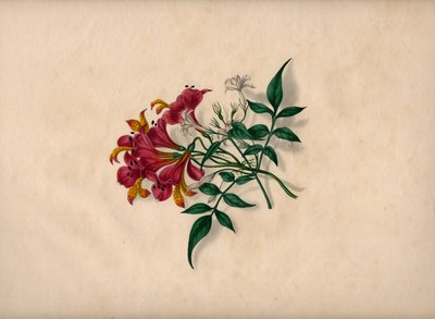  tekijältä André Limot