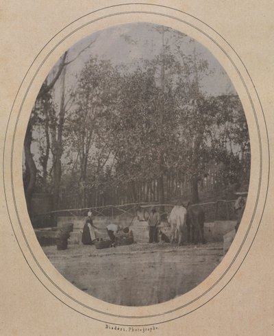 Village Scene Etelä-Ranskassa, n. 1853. tekijältä Andre Adolphe Eugene Disderi
