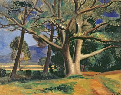 Iso puu, n.1929-30 (öljy kankaalle) (ks. myös 287578) tekijältä Andre Derain
