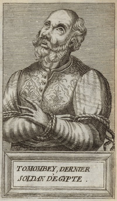 Tumanin lahti II tekijältä Andre Thevet