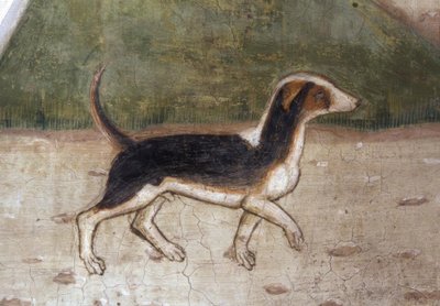 Atri, Dom, Hund / Fresko von A.Delitio tekijältä Andrea Delitio
