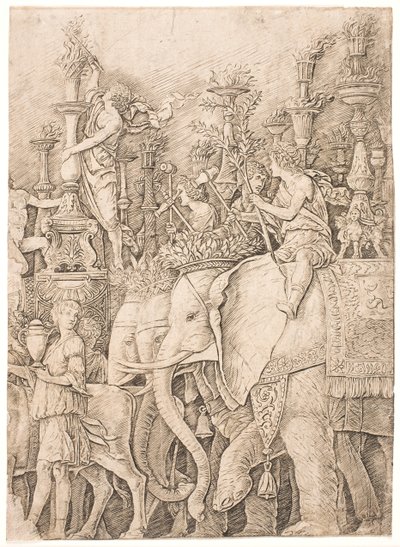 Norsuja kantamassa taskulamppuja tekijältä Andrea Mantegna