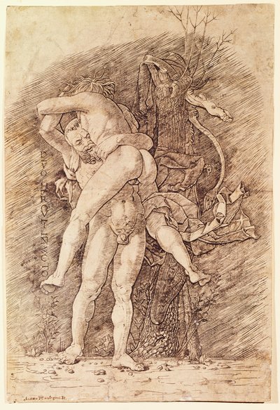 Hercules ja Antaeus, Andrea Mantegna (1431-1506), piirustus. tekijältä Andrea Mantegna