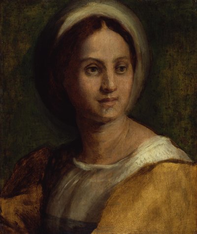 Nuoren naisen muotokuva tekijältä Andrea del Sarto