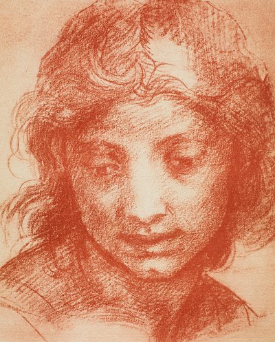 Pojat Head tekijältä Andrea del Sarto