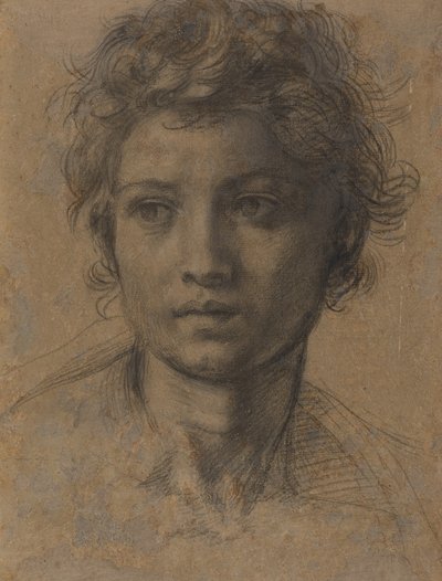 Pyhän Johannes Kastajan pää tekijältä Andrea del Sarto