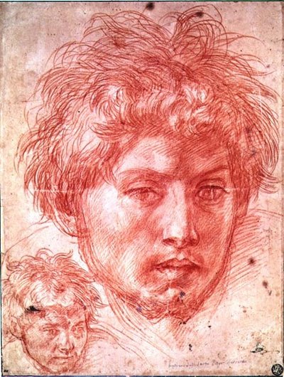 Miehen pää (punainen liitu paperille) tekijältä Andrea del Sarto