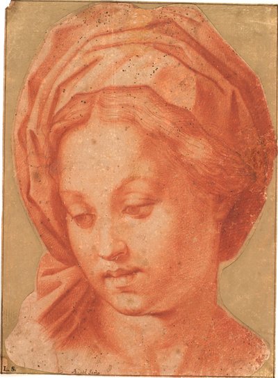 Borghese Madonna tekijältä Andrea del Sarto