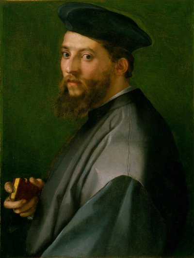 Miehen muotokuva tekijältä Andrea del Sarto