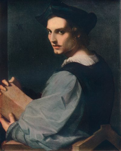 Nuoren miehen muotokuva, c1517, 1911 tekijältä Andrea del Sarto
