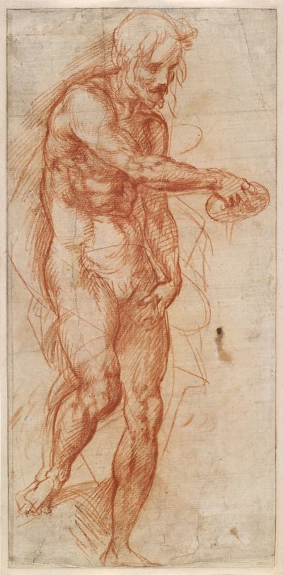 Pyhän Johannes Kastajan tutkimus, noin 1518 tekijältä Andrea del Sarto