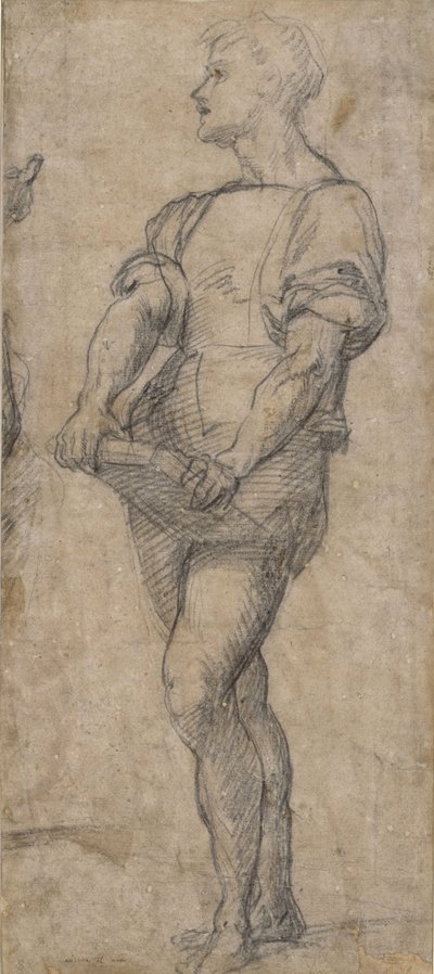 Pysyvä nuori kirja kädessään, n. 1515 tekijältä Andrea del Sarto
