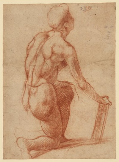 Tutkielma polvistuvasta hahmosta ja kasvoluonnos (etupuoli); hahmotutkielma ja kasvot (kääntöpuoli) tekijältä Andrea del Sarto