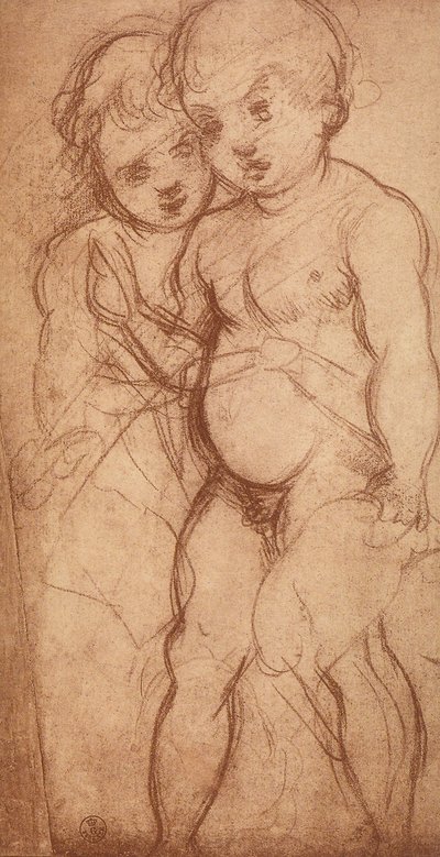 Kahden kerubin tutkimus; piirustus Andrea del Sarto. Piirustus- ja grafiikkakaappi, Uffizi-galleria, Firenze tekijältä Andrea del Sarto