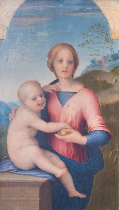 Neitsyt ja lapsi (öljy puulle) tekijältä Andrea del Sarto