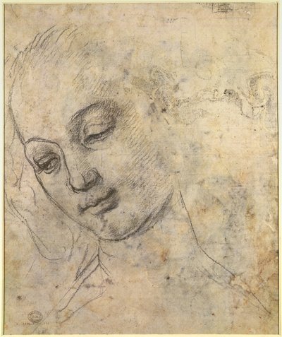 Naisen pään muotokuva (musta liitu paperille) tekijältä Andrea del Verrocchio